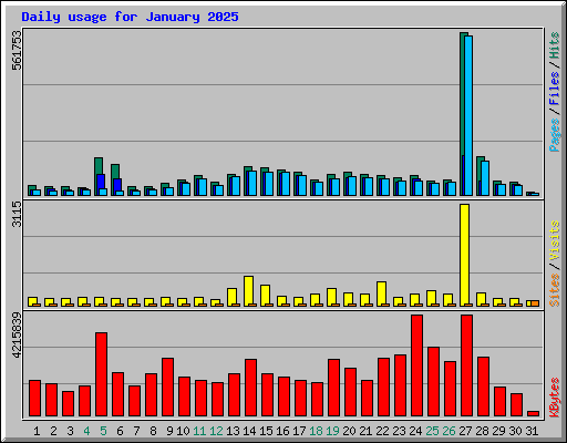 Daily usage for January 2025