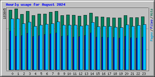 Hourly usage for August 2024