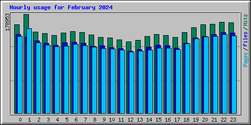 Hourly usage for February 2024