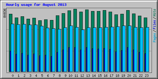 Hourly usage for August 2013