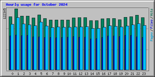 Hourly usage for October 2024