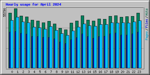 Hourly usage for April 2024