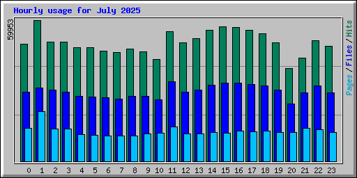 Hourly usage for July 2025