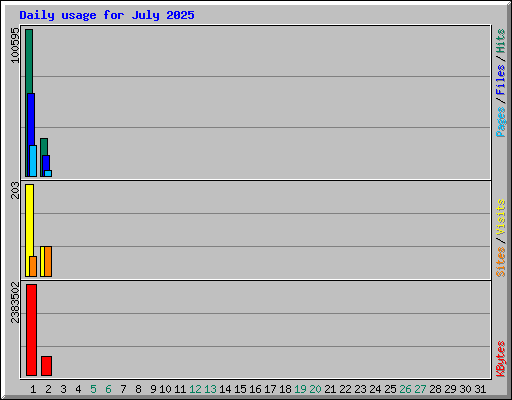 Daily usage for July 2025