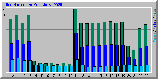 Hourly usage for July 2025