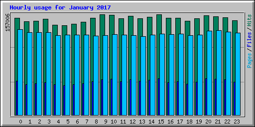 Hourly usage for January 2017