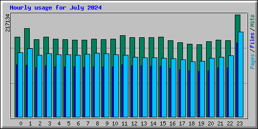 Hourly usage for July 2024