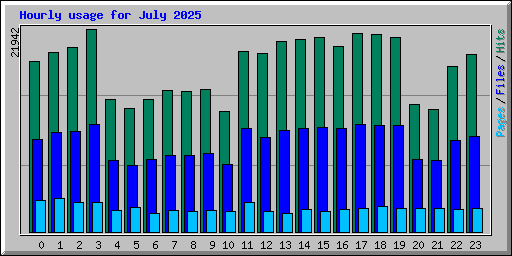 Hourly usage for July 2025
