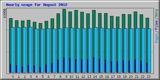 Hourly usage for August 2012